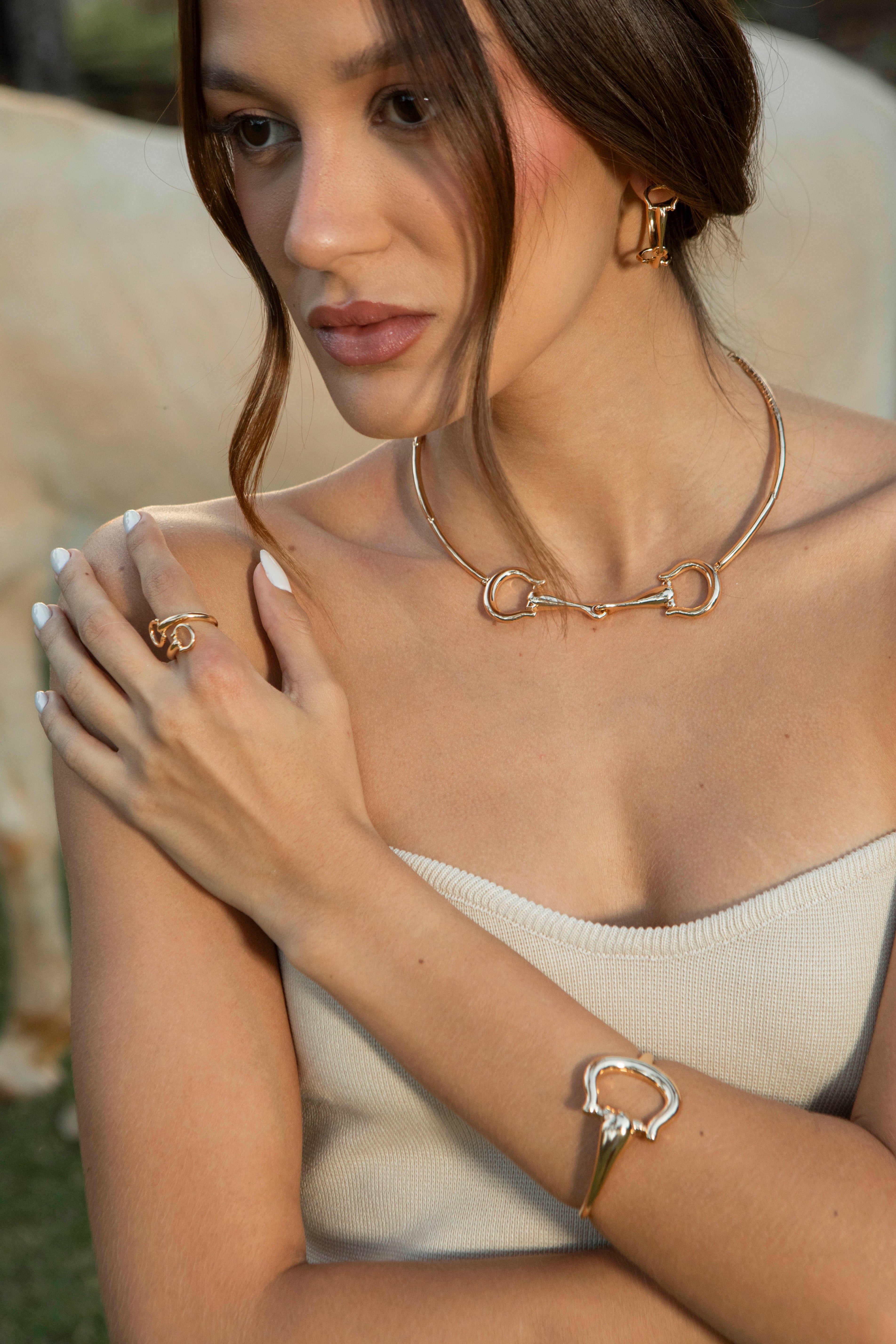 Bracelete Bridão